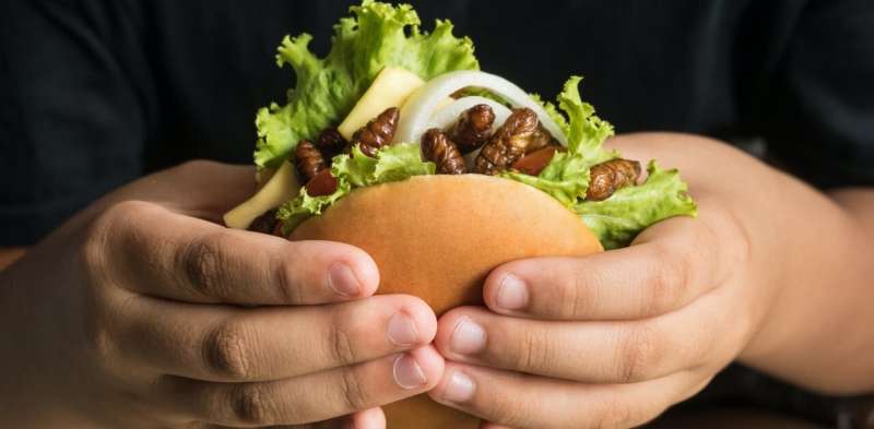 Hamburguesas a base de plantas, carne e insectos cultivados en laboratorio: cómo la industria de las proteínas está innovando para satisfacer la demanda