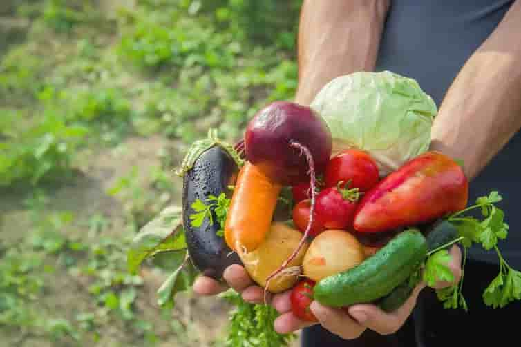 Tres claves para comer frutas y verduras crudas de forma segura