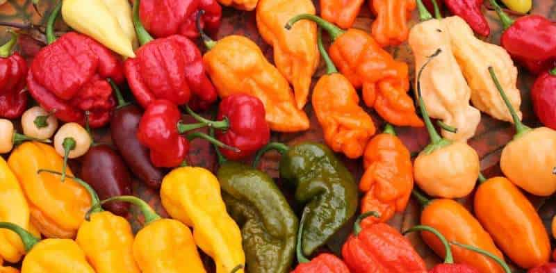 Por qué a algunos les gusta picante: la ciencia del picante