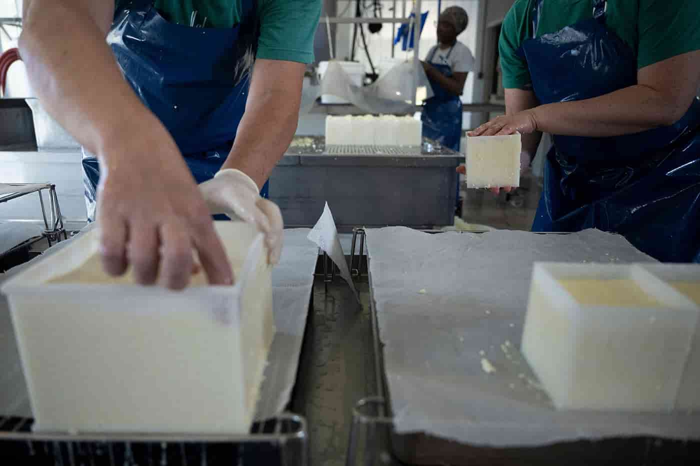 Queso doble crema, además de rico y nutritivo, tendría potencial probiótico