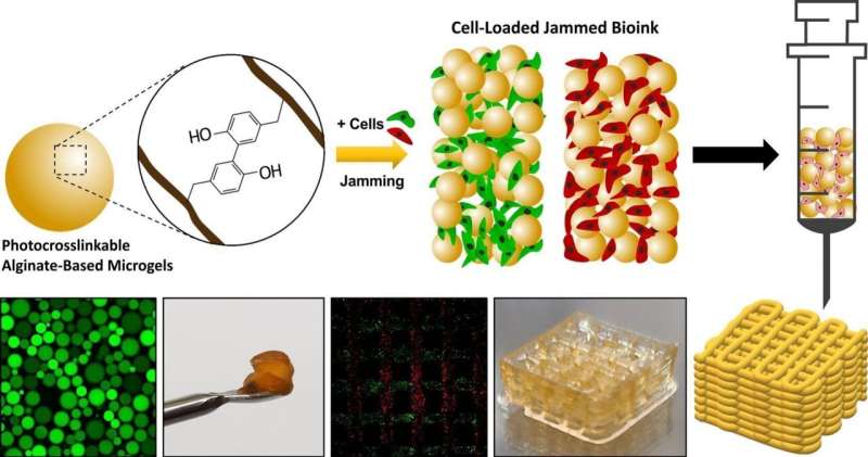 Las algas combinadas con la luz visible pueden crear tinta para la carne cultivada