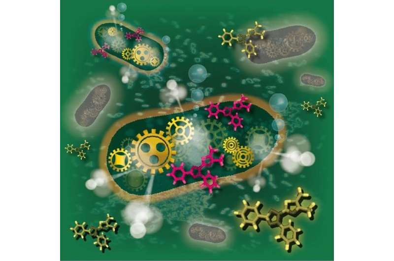 Una nueva tecnología acelera las pruebas bacterianas en los alimentos