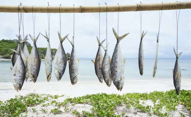 ¿Deberíamos dejar de comer pescado?