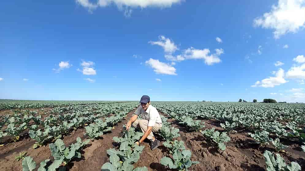 Una investigación busca mejorar la calidad nutricional de los alimentos para prevenir enfermedades