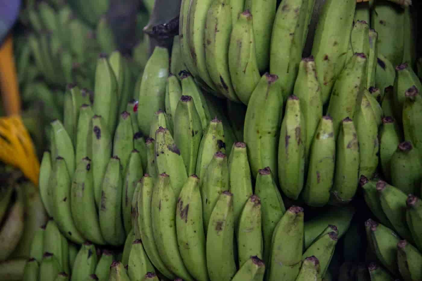 Harina de plátano: menos humedad y mayor durabilidad