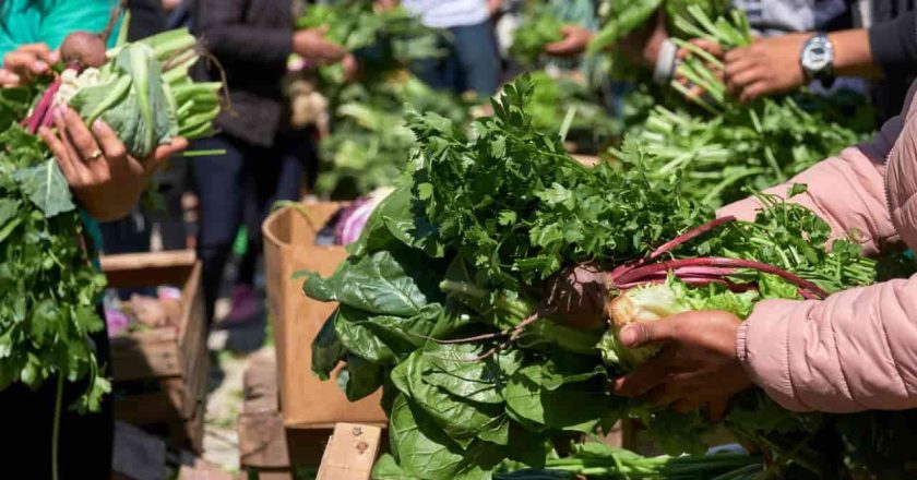 Hacer que una dieta saludable sea algo más que un buen propósito