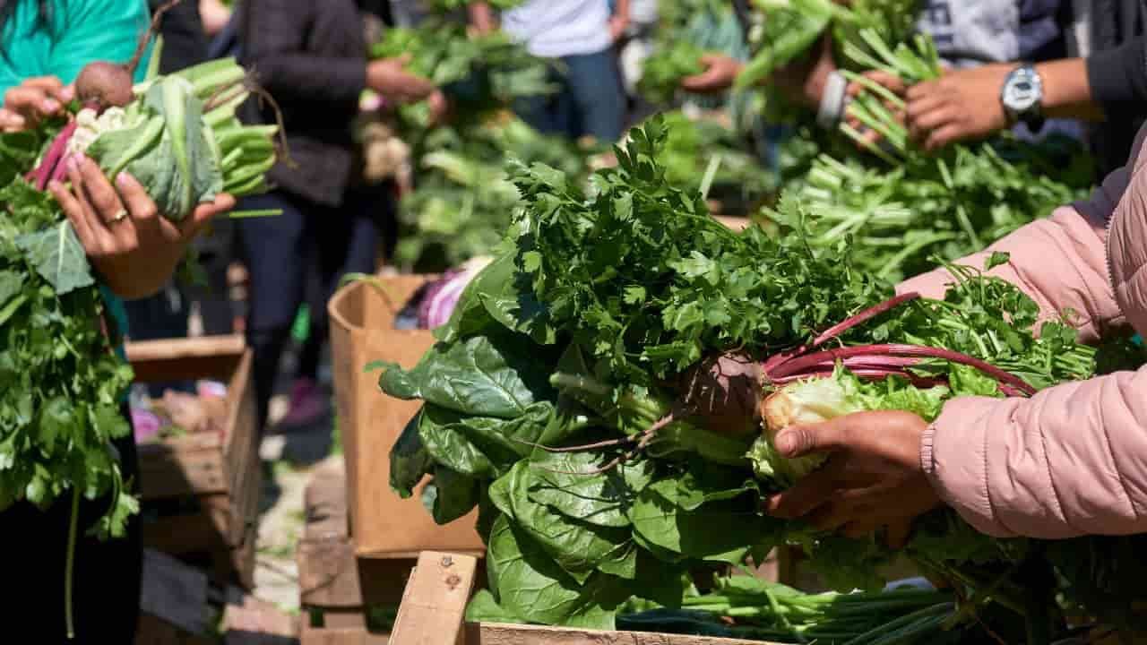 Hacer que una dieta saludable sea algo más que un buen propósito
