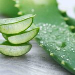 El nuevo ingrediente secreto de la carne cultivada: el aloe vera