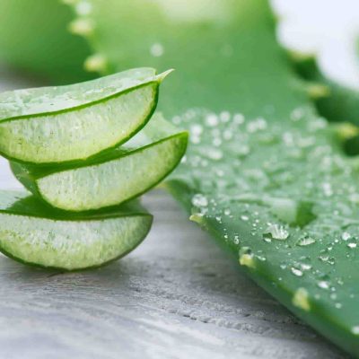 El nuevo ingrediente secreto de la carne cultivada: el aloe vera