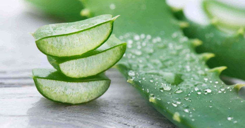 El nuevo ingrediente secreto de la carne cultivada: el aloe vera