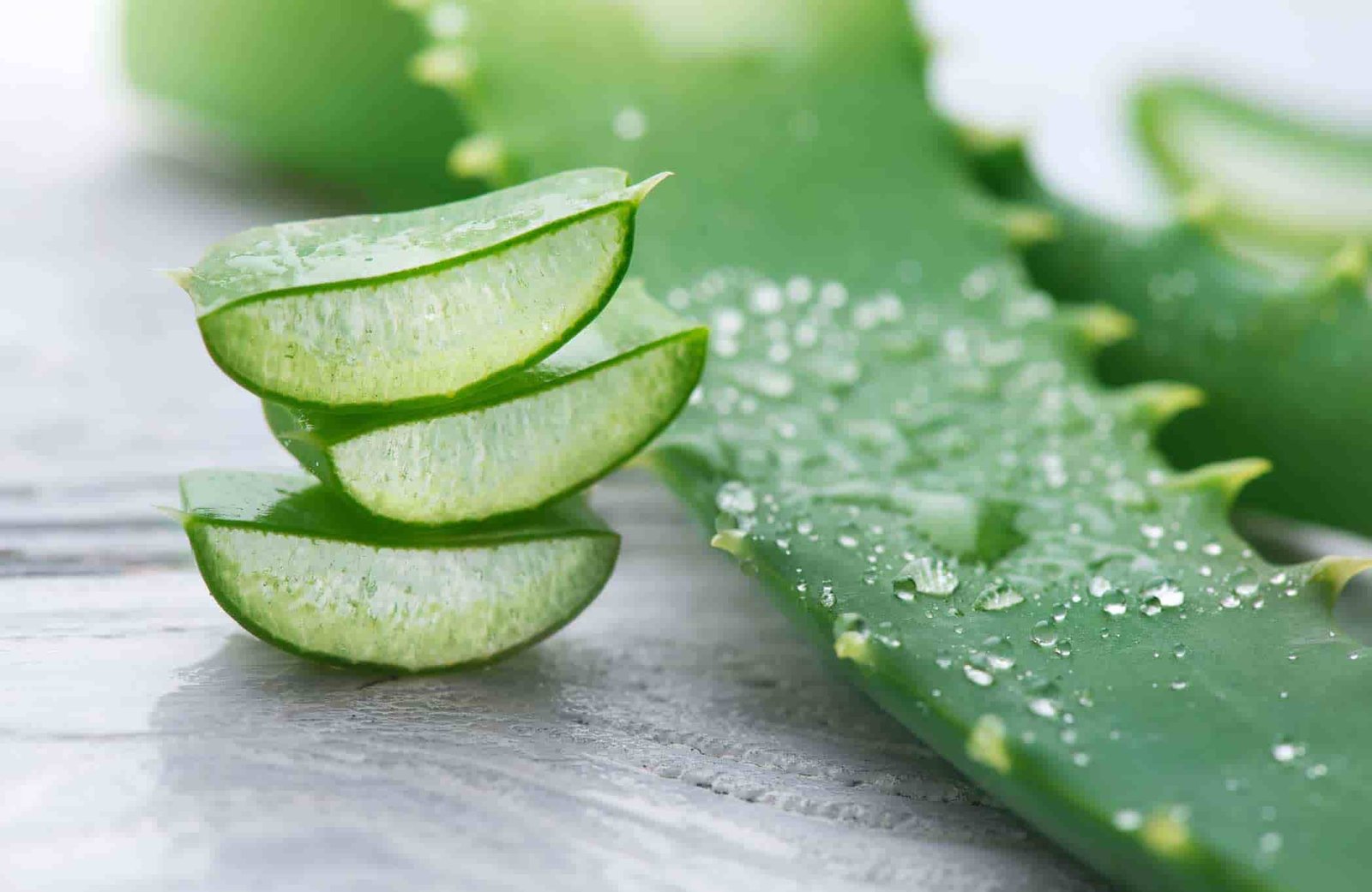 El nuevo ingrediente secreto de la carne cultivada: el aloe vera