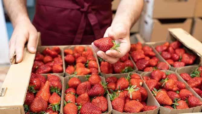 Madera o cartón para transportar los alimentos frescos: ¿qué opción contamina menos?