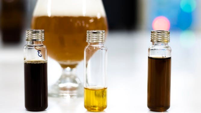 Inventan cerveza instantánea para hacer en casa, con nuevos sabores