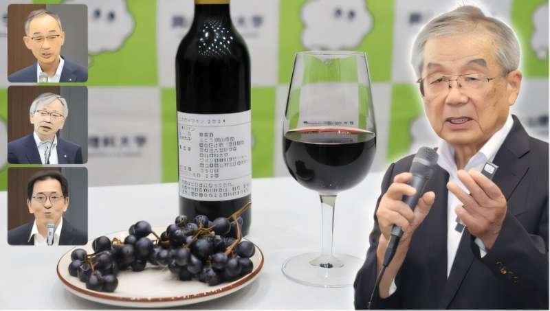 Se desarrolla con éxito la nueva variedad de uva de vino ‘Muscat Shiragai’