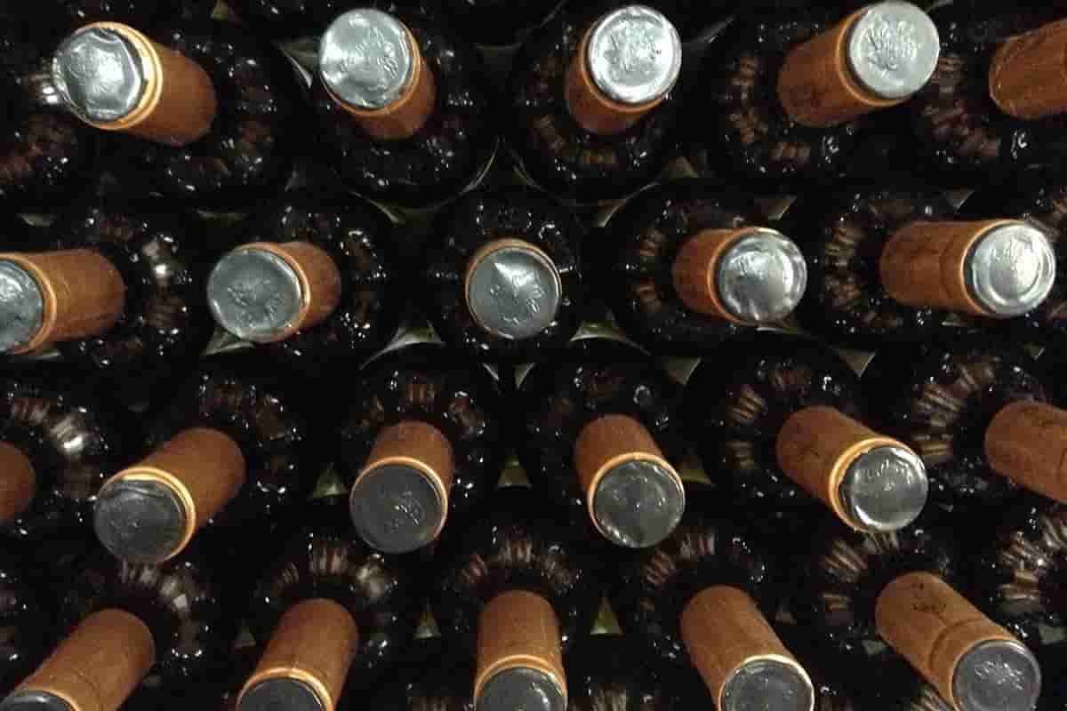 Menos controles para las bodegas: el Instituto Nacional de Vitivinicultura deroga casi mil normas