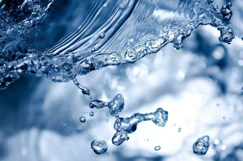 Cómo puedes ayudar a ahorrar el agua que hace posible tu comida