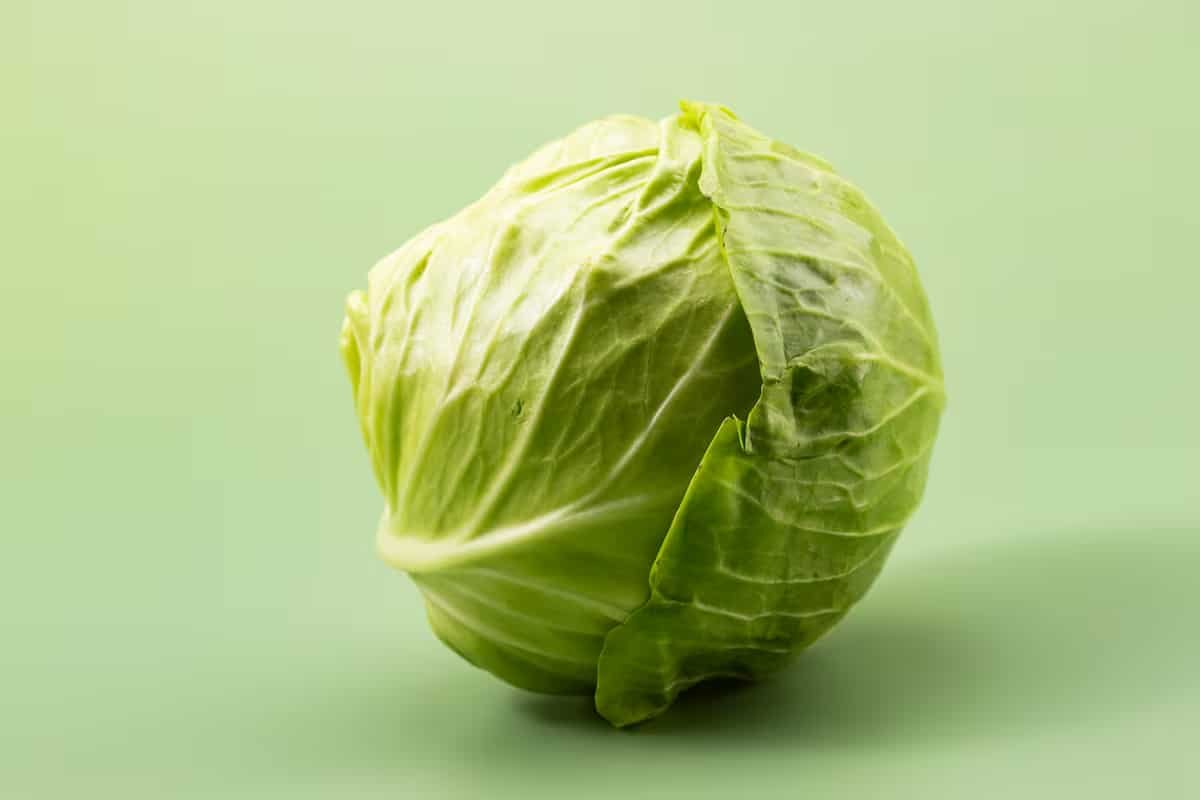 El repollo se reinventa y se convierte en una de las grandes tendencias culinarias de 2026