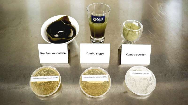 Qué significa el kombu con aroma a plátano para los alimentos probióticos y las bebidas a base de algas