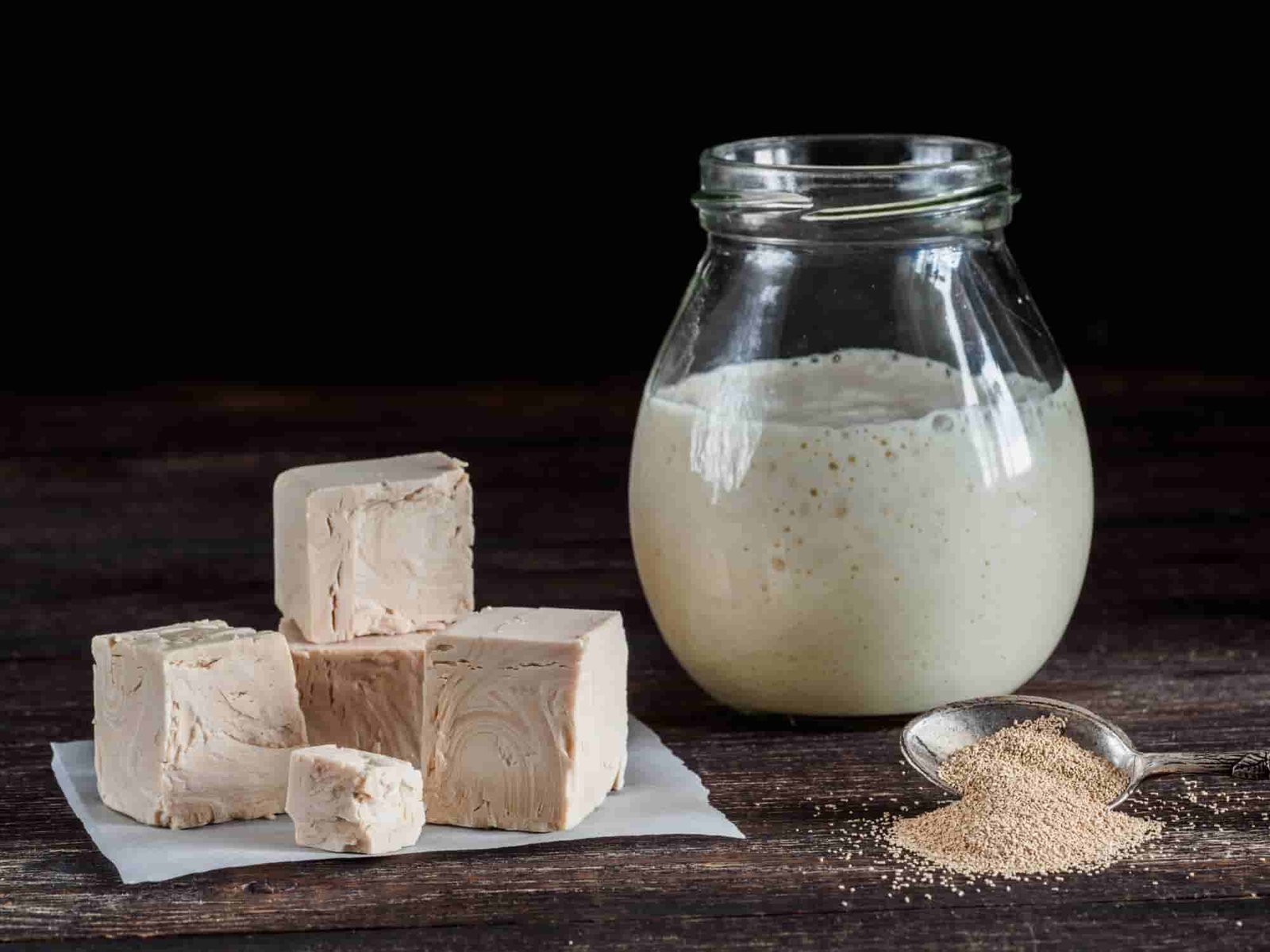 Hongos y levaduras abren nuevas oportunidades para transformar la industria alimentaria
