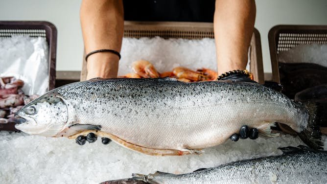 Qué pescados son más sanos para comer y por qué importa su origen