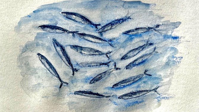 La sardinilla capturada de forma artesanal, un manjar tan saludable como sostenible